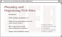 Planning and Organizing Web Sites Screen Shot